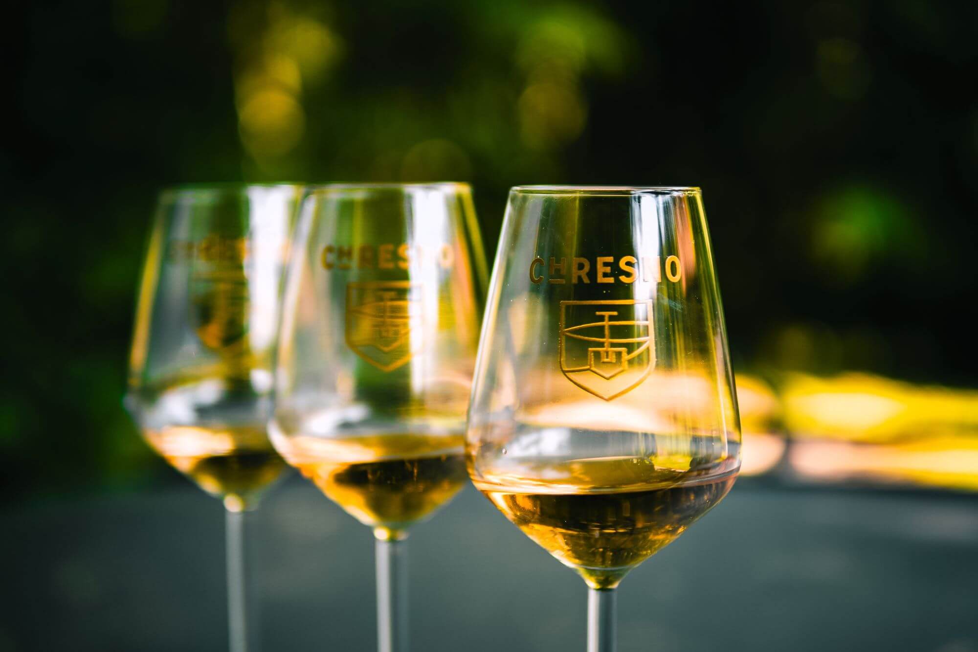 Podravina, Bilogora, Chresno wines, Miroslav Slaviček, Ivona Slaviček, Čresno, Mala Črešnjevica, Traminac Fragrant, White and Yellow Muscat, Rhine Riesling, Zeleni Silvanc, Merlot, Syrah, Cabernet Sauvignon, Solaris, Muscaris, Cabernet Blanc, Cabernet Cortis, Zagreb Underground, Zagreb Underground tunnel gric, tunel gric event, zagreb tunel gric, zagreb events, zagreb events april, tunel gric events, Podravina, Bilogora, Chresno vina, Miroslav Slaviček, Ivona Slaviček, Čresno, Mala Črešnjevica, Traminac mirisni, Muškat bijeli i žuti, Rajnski rizling, Zeleni silvanc, Merlot, Syrah, Cabernet sauvignon, Solaris, Muscaris, Cabernet Blanc, Cabernet Cortis, Zagreb Underground, Zagreb Podzemni tunel gric, tunel gric događaj, zagreb tunel gric, zagreb događanja, zagreb događanja travanj, tunel gric događanja,