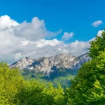 Montenegro, Komovi, mountain range, Komovi mountain range, Komovi mountain massif, Kukački Kom, Ljevoriječki Kom, Vasojevički Kom, Lim river, Tara river, Prokletije Mountains, monastery of St. George, Eko katun Štavna, Komovi Nature Park, Komovi mountains, Komovi National Park, Hiking in Komovi, Komovi trails, Camping in Komovi, Wildlife in Komovi, Komovi peak, Komovi accommodation, Komovi trekking, Komovi landscape, Explore Komovi, Komovi adventure, Komovi tourism, Komovi travel guide, Best time to visit Komovi, Things to do in Komovi, Komovi photos, Komovi weather, Komovi nature reserve, Komovi biodiversity, Crna Gora, Komovi, planinski lanac, vijenac Komova, planinski masiv Komova, Kukački Kom, Ljevoriječki Kom, Vasojevički Kom, rijeka Lim, rijeka Tara, Prokletije, manastir Svetog Đorđa, Eko katun Štavna, Park prirode Komovi, Komovi, Nacionalni park Komovi, Planinarenje Komovima, staze Komova, Kampovanje Komova, Divlje životinje Komova, Vrh Komovi, Smještaj Komovi, Planinarenje Komovima, Komovi pejzaž, Istražite Komove, Komovi avantura, Komovi turizam, Komovi turistički vodič, Najbolje vrijeme za posjet Komovima, Što raditi u Komovima, fotografije Komova, vrijeme Komova, prirodni rezervat Komovi, bioraznolikost Komova,