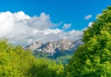 Montenegro, Komovi, mountain range, Komovi mountain range, Komovi mountain massif, Kukački Kom, Ljevoriječki Kom, Vasojevički Kom, Lim river, Tara river, Prokletije Mountains, monastery of St. George, Eko katun Štavna, Komovi Nature Park, Komovi mountains, Komovi National Park, Hiking in Komovi, Komovi trails, Camping in Komovi, Wildlife in Komovi, Komovi peak, Komovi accommodation, Komovi trekking, Komovi landscape, Explore Komovi, Komovi adventure, Komovi tourism, Komovi travel guide, Best time to visit Komovi, Things to do in Komovi, Komovi photos, Komovi weather, Komovi nature reserve, Komovi biodiversity, Crna Gora, Komovi, planinski lanac, vijenac Komova, planinski masiv Komova, Kukački Kom, Ljevoriječki Kom, Vasojevički Kom, rijeka Lim, rijeka Tara, Prokletije, manastir Svetog Đorđa, Eko katun Štavna, Park prirode Komovi, Komovi, Nacionalni park Komovi, Planinarenje Komovima, staze Komova, Kampovanje Komova, Divlje životinje Komova, Vrh Komovi, Smještaj Komovi, Planinarenje Komovima, Komovi pejzaž, Istražite Komove, Komovi avantura, Komovi turizam, Komovi turistički vodič, Najbolje vrijeme za posjet Komovima, Što raditi u Komovima, fotografije Komova, vrijeme Komova, prirodni rezervat Komovi, bioraznolikost Komova,