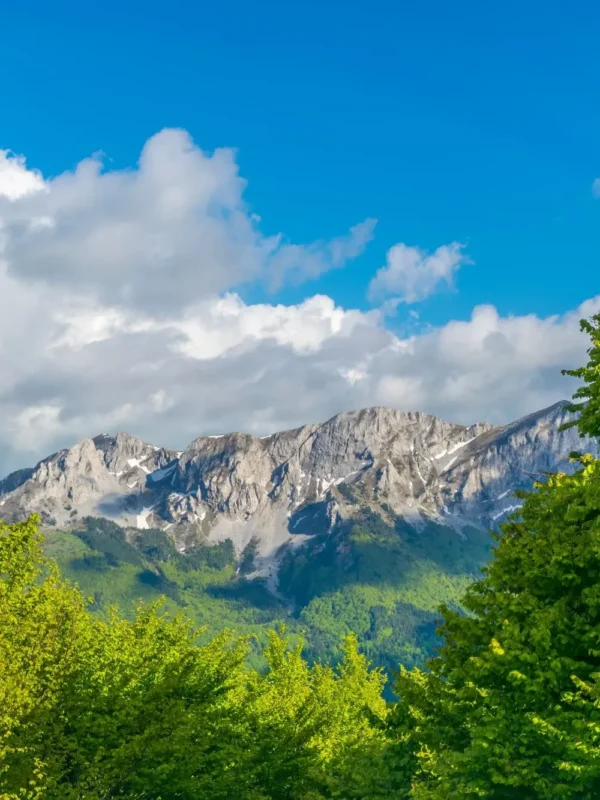 Montenegro, Komovi, mountain range, Komovi mountain range, Komovi mountain massif, Kukački Kom, Ljevoriječki Kom, Vasojevički Kom, Lim river, Tara river, Prokletije Mountains, monastery of St. George, Eko katun Štavna, Komovi Nature Park, Komovi mountains, Komovi National Park, Hiking in Komovi, Komovi trails, Camping in Komovi, Wildlife in Komovi, Komovi peak, Komovi accommodation, Komovi trekking, Komovi landscape, Explore Komovi, Komovi adventure, Komovi tourism, Komovi travel guide, Best time to visit Komovi, Things to do in Komovi, Komovi photos, Komovi weather, Komovi nature reserve, Komovi biodiversity, Crna Gora, Komovi, planinski lanac, vijenac Komova, planinski masiv Komova, Kukački Kom, Ljevoriječki Kom, Vasojevički Kom, rijeka Lim, rijeka Tara, Prokletije, manastir Svetog Đorđa, Eko katun Štavna, Park prirode Komovi, Komovi, Nacionalni park Komovi, Planinarenje Komovima, staze Komova, Kampovanje Komova, Divlje životinje Komova, Vrh Komovi, Smještaj Komovi, Planinarenje Komovima, Komovi pejzaž, Istražite Komove, Komovi avantura, Komovi turizam, Komovi turistički vodič, Najbolje vrijeme za posjet Komovima, Što raditi u Komovima, fotografije Komova, vrijeme Komova, prirodni rezervat Komovi, bioraznolikost Komova,