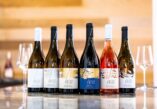 Adriatic Sea, Tomislavgrad, Knebu vineyards, Knebu, Duvanjsko polje, Croatia, wine-growing region in Croatia, wine-growing regions Croatia, Knebu winery, chardonnay, sauvignon blanc, traminac, pinot noir, merlot, Knebu wine, Croatian wines, Disco Magic Band, Studio 54, Jadransko more, Tomislavgrad, vinogradi Knebu, Knebu, Duvanjsko polje, Hrvatska, vinorodna regija u Hrvatskoj, vinorodne regije Hrvatska, vinarija Knebu, chardonnay, sauvignon blanc, traminac, pinot noir, merlot, vino Knebu, hrvatska vina, Disco Magic Band, Studio 54,