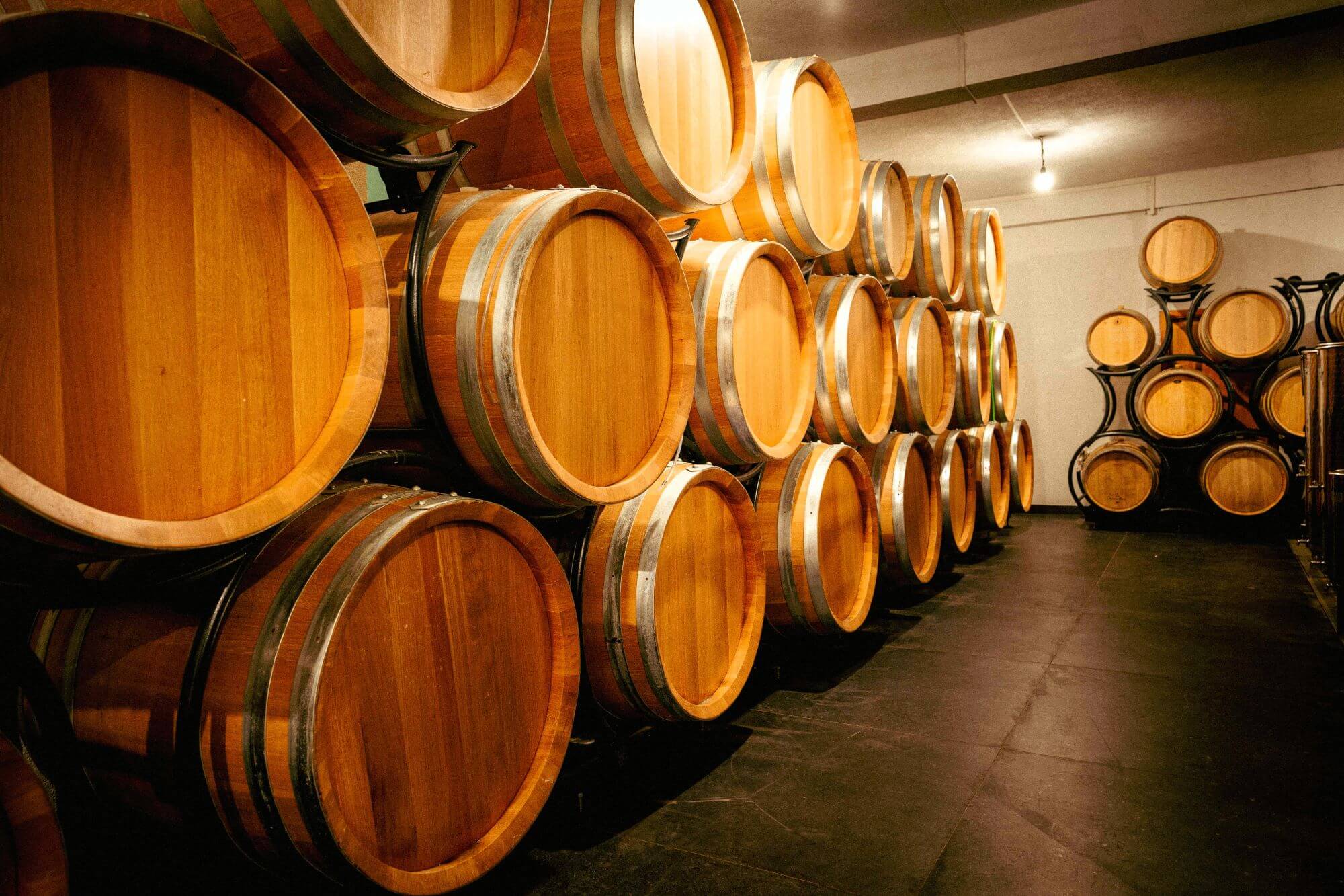 Adriatic Sea, Tomislavgrad, Knebu vineyards, Knebu, Duvanjsko polje, Croatia, wine-growing region in Croatia, wine-growing regions Croatia, Knebu winery, chardonnay, sauvignon blanc, traminac, pinot noir, merlot, Knebu wine, Croatian wines, Disco Magic Band, Studio 54, Jadransko more, Tomislavgrad, vinogradi Knebu, Knebu, Duvanjsko polje, Hrvatska, vinorodna regija u Hrvatskoj, vinorodne regije Hrvatska, vinarija Knebu, chardonnay, sauvignon blanc, traminac, pinot noir, merlot, vino Knebu, hrvatska vina, Disco Magic Band, Studio 54,