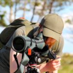 Bird watching, Bird watching Croatia, Biom Association,  Križevci, birding, Vidikovac Ratarna,