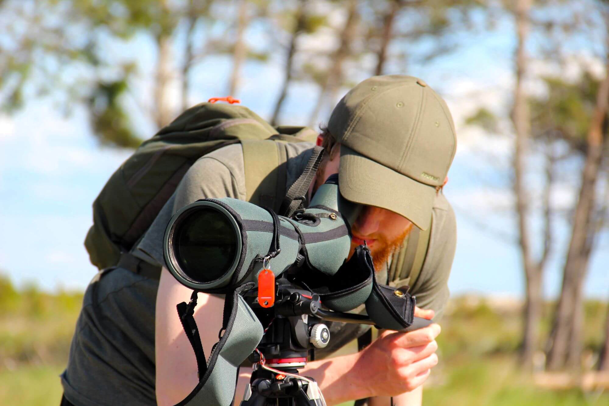 Bird watching, Bird watching Croatia, Biom Association,  Križevci, birding, Vidikovac Ratarna,