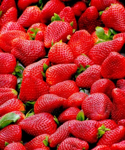 Selce,  Crikvenica Riviera, Selce events, Crikvenica events, Strawberry Festival, Strawberry Festival in Selce, Strawberry Festival Selce, Strawberry Festival Crivkenica, Selce,  Rivijera Crikvenica, događanja u Selcu, događanja u Crikvenici, festival jagoda, festival jagoda u Selcu, festival jagoda Selce, festival jagoda Crivkenica,