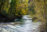 kanjon rijeke Kokre, rijeka Kokra, Kranj kanjon, Kanjon Korke Kranj, Kamniške Alpe, Grintovec, Kokrški most, Karavanke, izvor rijeke Kokre, urbani kanjon u Europi,  drugi najviši urbani kanjon u Europi, najviši urbani kanjon u Europi, urbani kanjoni, stari Kranj, kanjon reke Kokre wikipedia, Kanjon reke Kokre, Kranj, Kranj Slovenija, Što vidjeti u Kranju, što posjetiti u Kranju, Kokra river canyon, Kokra river, Kranj canyon, Korka Kranj canyon, Grintovec, Karawanks, Kokra River Bridge, Kamnik Alps, Kokra river source, urban canyon in Europe, second highest urban canyon in Europe, highest urban canyon in Europe, urban canyons, old Kranj, Kokra River Canyon wikipedia, Kokra River Canyon, Kranj, Kranj Slovenia, What to see in Kranj, what to visit in Kranj,