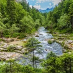 Stara Fužina, Mostnica, potok Mostnica, Bohinjsko jezero, korita Mostnice, dolina Voje,  Uskovnica, Pokljuka, Sava Bohinjka, Ribčev Laz, slap Voja, slap Mostnica, vodopad Mostnica, vodopad Voja, Hudičev most,  Vražji most, Češenjski most, Beraški most, Mostnica slon, pašnjaci Voje, Koča na Vojah, slap Savica, vodopad Savica, Mostnica ulaz, Mostnica parking, kanjon Mostnice, Recenzije klanca Mostnice,wikipedija klanca Mostnice, klanac Korita, zima u klancu Mostnice, planinarenje po klancu Mostnice i slap Voje, planinarenje slapom mostnice, staza slapa mostnice, aktivnosti u bohinju, aktivnosti u staroj fužini, Mostnica gorge, Voja valley, Uskovnica mountain, Pokljuka, Devil's Bridge, Česenjski Bridge, Beraški Bridge, Beggar's bridge, Voje pastures, Triglav National Park, St Paul's church Bohinj, Mostnica gorge reviews,Mostnica gorge wikipedia, Korita mostnica gorge, Mostnica Gorge winter, Mostnica Gorge hike and Voje waterfall, mostnica waterfall hike, mostnica waterfall trail, bohinj things to do, stara fuzina things to do, Stara Fužina, Mostnica, Mostnica stream, Bohinj lake, Mostnica beds, Voja valley, Uskovnica, Pokljuka, Sava Bohinjka, Ribčev Laz, Voja waterfall, Mostnica waterfall, Mostnica waterfall, Voja waterfall, Devil's bridge, Devil's bridge, Česenjski bridge, Beraški bridge , Mostnica elephant, Voja pastures, Koča na Vojah, Savica waterfall, Savica waterfall, Mostnica entrance, Mostnica parking lot, Mostnica canyon, Mostnica gorge reviews, Mostnica gorge wikipedia, Korita gorge, winter in Mostnica gorge, hiking in Mostnica gorge and Voje waterfall, hiking by the Mostnica waterfall, Mostnica waterfall trail, activities in Bohinj, activities in the stara fužina,