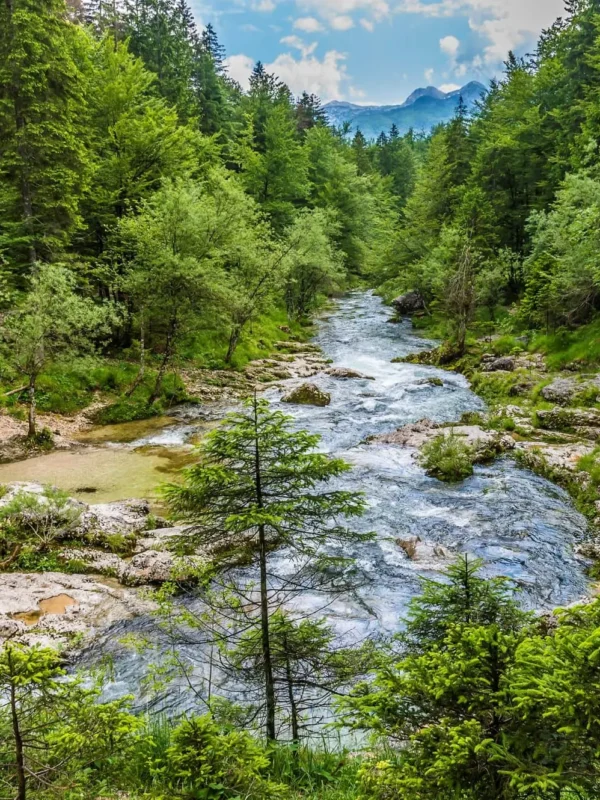 Stara Fužina, Mostnica, potok Mostnica, Bohinjsko jezero, korita Mostnice, dolina Voje,  Uskovnica, Pokljuka, Sava Bohinjka, Ribčev Laz, slap Voja, slap Mostnica, vodopad Mostnica, vodopad Voja, Hudičev most,  Vražji most, Češenjski most, Beraški most, Mostnica slon, pašnjaci Voje, Koča na Vojah, slap Savica, vodopad Savica, Mostnica ulaz, Mostnica parking, kanjon Mostnice, Recenzije klanca Mostnice,wikipedija klanca Mostnice, klanac Korita, zima u klancu Mostnice, planinarenje po klancu Mostnice i slap Voje, planinarenje slapom mostnice, staza slapa mostnice, aktivnosti u bohinju, aktivnosti u staroj fužini, Mostnica gorge, Voja valley, Uskovnica mountain, Pokljuka, Devil's Bridge, Česenjski Bridge, Beraški Bridge, Beggar's bridge, Voje pastures, Triglav National Park, St Paul's church Bohinj, Mostnica gorge reviews,Mostnica gorge wikipedia, Korita mostnica gorge, Mostnica Gorge winter, Mostnica Gorge hike and Voje waterfall, mostnica waterfall hike, mostnica waterfall trail, bohinj things to do, stara fuzina things to do, Stara Fužina, Mostnica, Mostnica stream, Bohinj lake, Mostnica beds, Voja valley, Uskovnica, Pokljuka, Sava Bohinjka, Ribčev Laz, Voja waterfall, Mostnica waterfall, Mostnica waterfall, Voja waterfall, Devil's bridge, Devil's bridge, Česenjski bridge, Beraški bridge , Mostnica elephant, Voja pastures, Koča na Vojah, Savica waterfall, Savica waterfall, Mostnica entrance, Mostnica parking lot, Mostnica canyon, Mostnica gorge reviews, Mostnica gorge wikipedia, Korita gorge, winter in Mostnica gorge, hiking in Mostnica gorge and Voje waterfall, hiking by the Mostnica waterfall, Mostnica waterfall trail, activities in Bohinj, activities in the stara fužina,