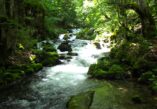  Lještanica, Bijelo Polje, Vraneška valley, Vrane valley, river Ljuboviđa, Lijeska, Tomaševo, Lještanska glava, Skakala waterfall, least known waterfalls in Montenegro, waterfalls in Montenegro,  waterfalls Montenegro, hidden gems Montenegro, Bijelo Polje things to see, Bijelo Polje hidden gems, Lim River, Bijelo polje wikipedia, Bijelo polje Montenegro, Bijelo polje waterfall, Lještanica, Bijelo Polje, Vraneška dolina, Vranska dolina, rijeka Ljuboviđa, Lijeska, Tomaševo, Lještanska glava, vodopad Skakala, najmanje poznati vodopadi u Crnoj Gori, vodopadi u Crnoj Gori,  vodopadi Crna Gora, skriveni dragulji Crna Gora, Bijelo Polje stvari koje treba vidjeti, Bijelo Polje skriveno dragulji, rijeka Lim, Bijelo polje wikipedia, Bijelo polje Crna Gora, Bijelo polje vodopad,