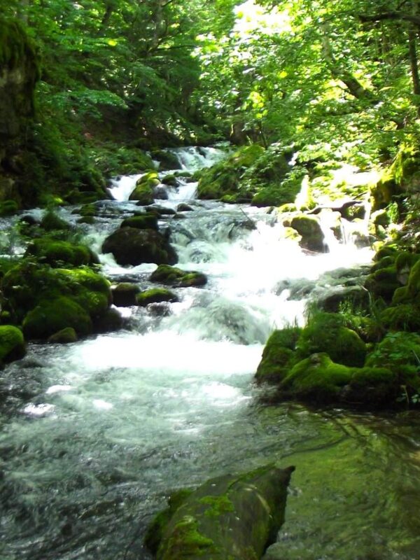 Lještanica, Bijelo Polje, Vraneška valley, Vrane valley, river Ljuboviđa, Lijeska, Tomaševo, Lještanska glava, Skakala waterfall, least known waterfalls in Montenegro, waterfalls in Montenegro,  waterfalls Montenegro, hidden gems Montenegro, Bijelo Polje things to see, Bijelo Polje hidden gems, Lim River, Bijelo polje wikipedia, Bijelo polje Montenegro, Bijelo polje waterfall, Lještanica, Bijelo Polje, Vraneška dolina, Vranska dolina, rijeka Ljuboviđa, Lijeska, Tomaševo, Lještanska glava, vodopad Skakala, najmanje poznati vodopadi u Crnoj Gori, vodopadi u Crnoj Gori,  vodopadi Crna Gora, skriveni dragulji Crna Gora, Bijelo Polje stvari koje treba vidjeti, Bijelo Polje skriveno dragulji, rijeka Lim, Bijelo polje wikipedia, Bijelo polje Crna Gora, Bijelo polje vodopad,