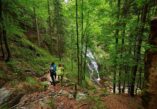 Pohorje Nature Park, Vernski slap, Mali Šumik, Veliki Šumik, Veliki Šumik waterfall, Mali Šumik waterfall, Vernski slap  waterfall,  Lobnica stream, Šumik rainforest, Pohorje, Silent lake, Falski ribnik, Drava, Verna stream, Verna waterfall,  Lobnice gorge, Park prirode Pohorje, Vernski slap, Mali Šumik, Veliki Šumik, slap Veliki Šumik, slap Mali Šumik, slap Vernski slap,  potok Lobnica, prašuma Šumik, Pohorje, Tiho jezero, Falski ribnik, Drava, potok Verna, slap Verna,  klisura Lobnice,