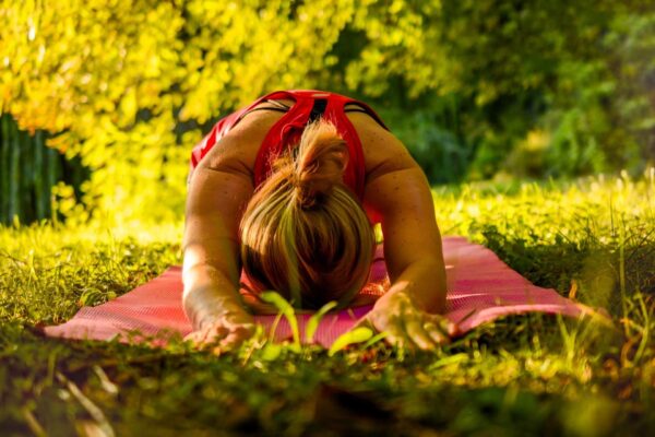 Kolašin, Tourist organization Kolašin, Tourist board Kolašin, yoga camp, Ethno village of Bijeli Potok, Biogradska gora National Park, Lug, Svetlana Vujačić, yoga instructor in Montenegro, Tripo Janković, Gong meditation, Gong meditation montenegro, yoga montenegro, Kolašin, Turistička organizacija Kolašin, Turistička zajednica Kolašin, joga kamp, ​​Etno selo Bijeli Potok, Nacionalni park Biogradska gora, Lug, Svetlana Vujačić, instruktorka joge u Crnoj Gori, Tripo Janković, Gong meditacija, Gong meditation montenegro, yoga montenegro,