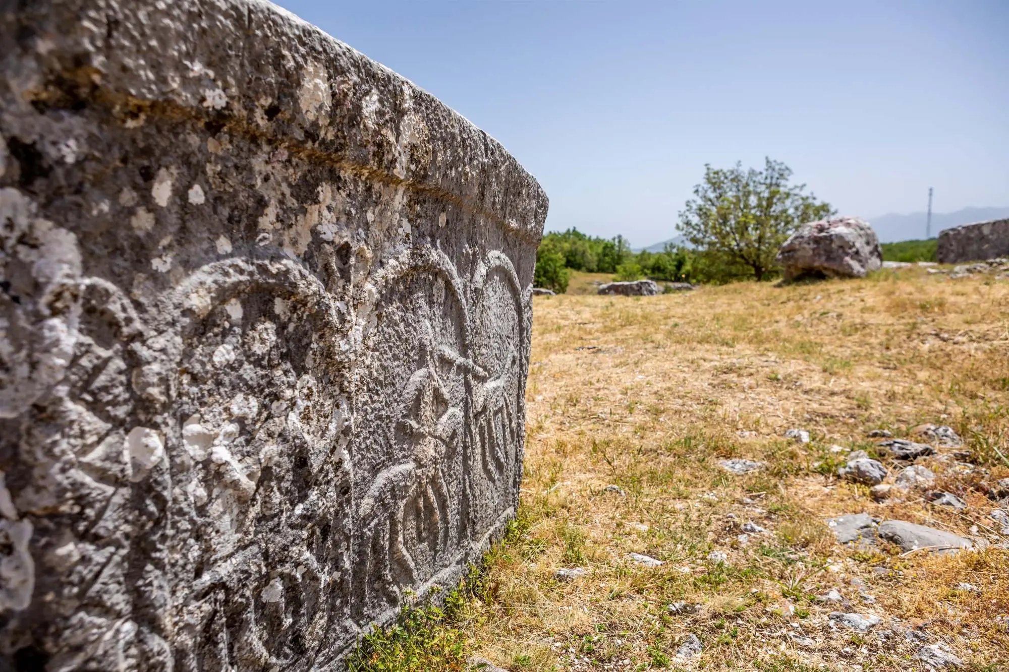 stećci u crnoj gori, stećci u bosni i hercegovini, stećci u Hrvatskoj, Rogatica, Livno, Trebinje, Stolac, Gacko, Sokolac, Kalinovik, Bileć, Konjic, Nevesinj, gdje ima najviše stećaka u bosni i hercegovini, gdje ima najviše stećaka u hrvatskoj, gdje ima najviše stećaka u crnoj gori,  Sv. Barbara, Sv. Barbara Konavle, Nekropola Sv. Barbara, Konavle, Dubrovnik, stećci dubrovnik, Cista Provo, Velika i Mala Crljevica, stećci Split, Velika i Mala Crljevica stećci, Pljevlja, Žabljak, Šavnik, Nikšić, Plužine, Nekropola crkve svetog Petra i Pavla, nekropola u Počekovićima, nekropola u Podgradini, Grčko groblje Šćepan Polje, Pićuri, Podblaće, Glisnica, Gornji Fradac, Donja Brvenica, Kruševo, Cetinje,  stećci in Montenegro, stećci in Bosnia and Herzegovina, stećci in Croatia, Rogatica, Livno, Trebinje, Stolac, Gacko, Sokolac, Kalinovik, Bileć, Konjic, Nevesinj, most stećci in Bosnia and Herzegovina, most stećci in Croatia, most stećaks in Montenegro, St. Barbara, St. Barbara Konavle, Necropolis of St. Barbara, Konavle, Dubrovnik, Stećci Dubrovnik, Cista Provo, Velika and Mala Crljevica, Stećci Split, Velika and Mala Crljevica Stećci, Pljevlja, Žabljak, Šavnik, Nikšić, Plužine, Necropolis of the Church of Saints Peter and Paul, Necropolis in Počekovići, Necropolis in Podgradina , Greek cemetery Šćepan Polje, Pićuri, Podblaće, Glisnica, Gornji Fradac, Donja Brvenica, Kruševo, Cetinje, medieval tombstones in montenegro, medieval tombstones in bosnia, medieval tombstones in croatia,