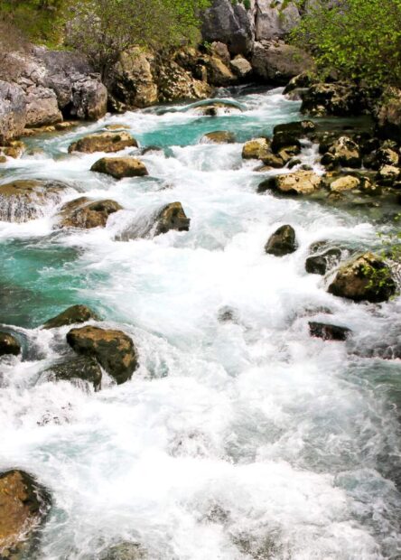 Ljuta River, Europe, sinkhole rivers in Europe, sinkhole rivers Europe, Boka Kotor Bay, shortest sinkhole rivers, shortest sinkhole rivers in Europe, Kotor, Ljuta village, Rijeka Ljuta, Europa, rijeke ponornice u Europi, rijeke ponornice u Europi, Boka Kotorska, najkraće rijeke ponornice, najkraće rijeke ponornice u Europi, Kotor, selo Ljuta,