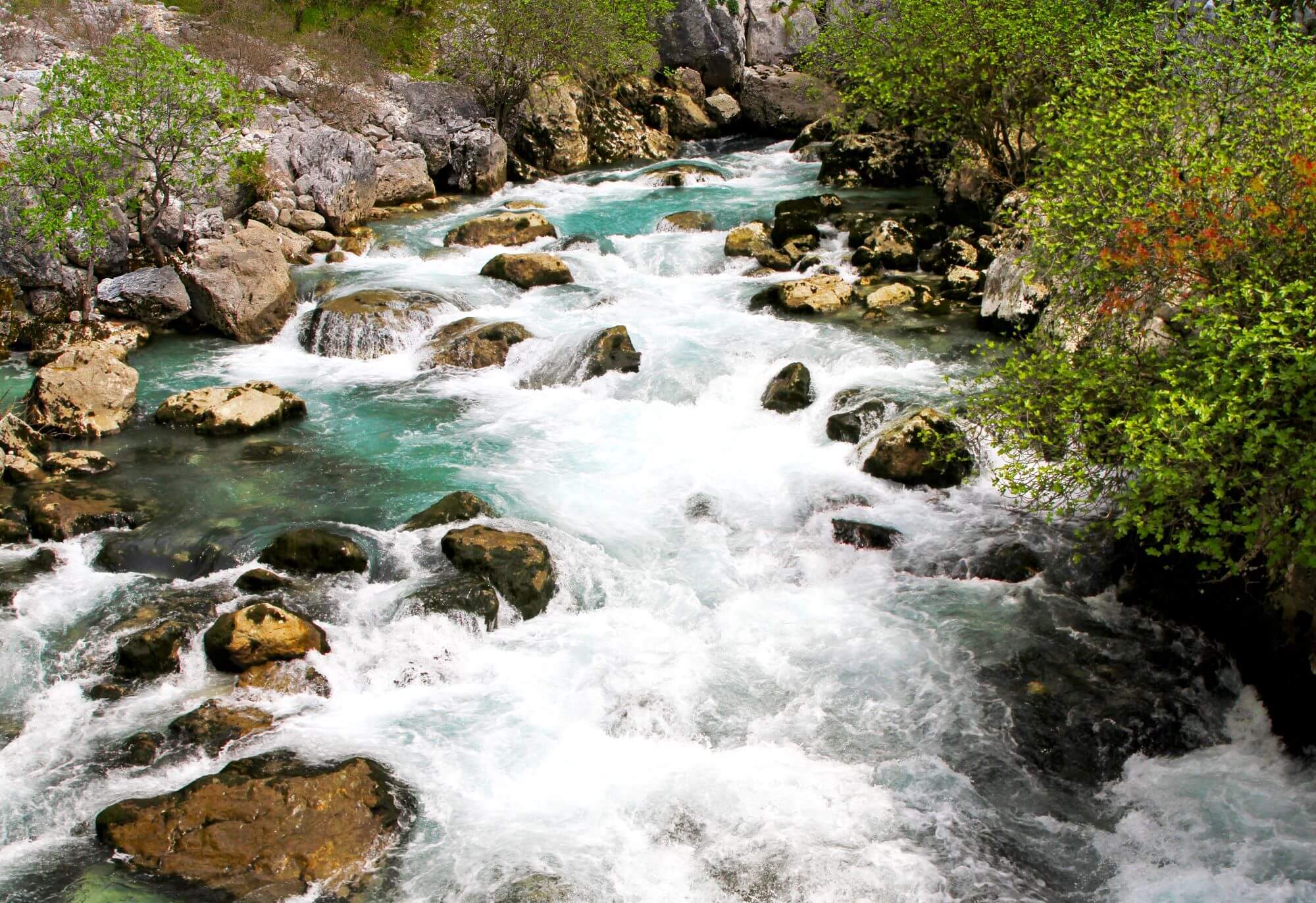 Ljuta River, Europe, sinkhole rivers in Europe, sinkhole rivers Europe, Boka Kotor Bay, shortest sinkhole rivers, shortest sinkhole rivers in Europe, Kotor, Ljuta village, Rijeka Ljuta, Europa, rijeke ponornice u Europi, rijeke ponornice u Europi, Boka Kotorska, najkraće rijeke ponornice, najkraće rijeke ponornice u Europi, Kotor, selo Ljuta,