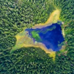  Črno jezero, Slovenija, Pohorje, planinarenje, Osankarica, Veliki vrh, Veliki vrh Pohorje, jesenski izlet, planinarenje jesen, destinacije za planinarenje u jesen, lagane staze za planinarenje, planinarenje Slovenija, Lukanja, Lukanja Slovenija, Trije kralji, Mariborsko pohorje, izleti Mariborsko pohorje,  Črno jezero, Slovenia, Pohorje, hiking, Osankarica, Veliki vrh, Veliki vrh Pohorje, autumn trip, hiking autumn, destinations for hiking in autumn, easy hiking trails, hiking Slovenia, Lukanja, Lukanja Slovenia, Trije kralji, Mariborsko pohorje, trips Maribor mountain range, Maribor Pohorje