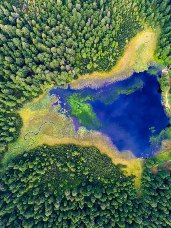  Črno jezero, Slovenija, Pohorje, planinarenje, Osankarica, Veliki vrh, Veliki vrh Pohorje, jesenski izlet, planinarenje jesen, destinacije za planinarenje u jesen, lagane staze za planinarenje, planinarenje Slovenija, Lukanja, Lukanja Slovenija, Trije kralji, Mariborsko pohorje, izleti Mariborsko pohorje,  Črno jezero, Slovenia, Pohorje, hiking, Osankarica, Veliki vrh, Veliki vrh Pohorje, autumn trip, hiking autumn, destinations for hiking in autumn, easy hiking trails, hiking Slovenia, Lukanja, Lukanja Slovenia, Trije kralji, Mariborsko pohorje, trips Maribor mountain range, Maribor Pohorje