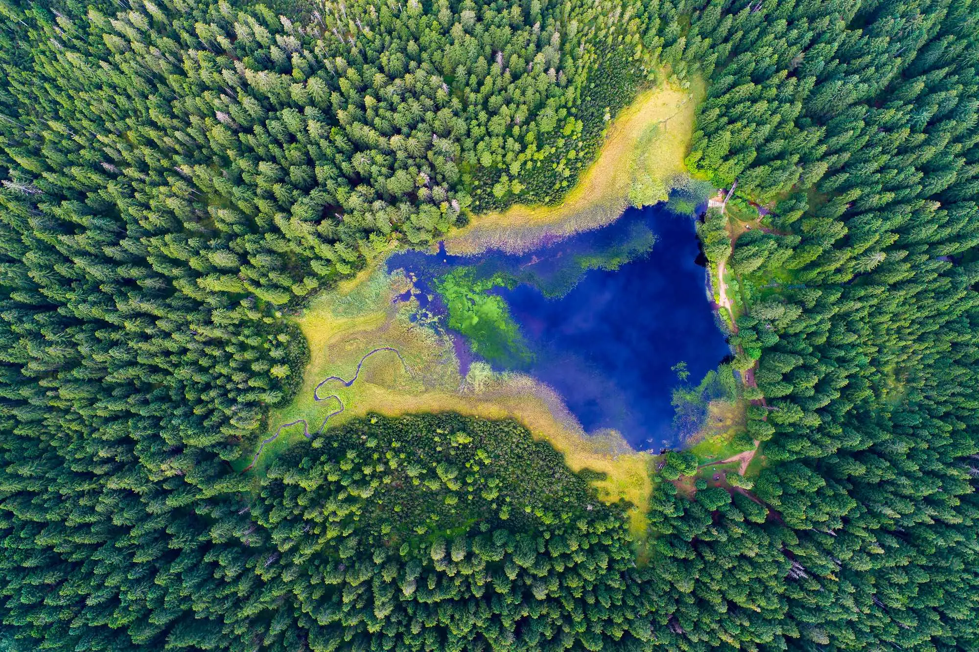  Črno jezero, Slovenija, Pohorje, planinarenje, Osankarica, Veliki vrh, Veliki vrh Pohorje, jesenski izlet, planinarenje jesen, destinacije za planinarenje u jesen, lagane staze za planinarenje, planinarenje Slovenija, Lukanja, Lukanja Slovenija, Trije kralji, Mariborsko pohorje, izleti Mariborsko pohorje,  Črno jezero, Slovenia, Pohorje, hiking, Osankarica, Veliki vrh, Veliki vrh Pohorje, autumn trip, hiking autumn, destinations for hiking in autumn, easy hiking trails, hiking Slovenia, Lukanja, Lukanja Slovenia, Trije kralji, Mariborsko pohorje, trips Maribor mountain range, Maribor Pohorje
