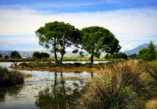 Shëngjin, Rezervat Kune Vain Tale, Kune Vain Tale, lagune Albanija, Tale, Tale Albanija, Albanija, rijeka Drim, Lezha, Lezha plaže, dvorac Lezha, Albanija lagune,  Shëngjin, Reserve Kune Vain Tale, Kune Vain Tale, Lagoons Albania, Tale, Tale Albania, Albania, River Drim, Lezha, Lezha Beaches, Lezha Castle, Albania Lagoons,