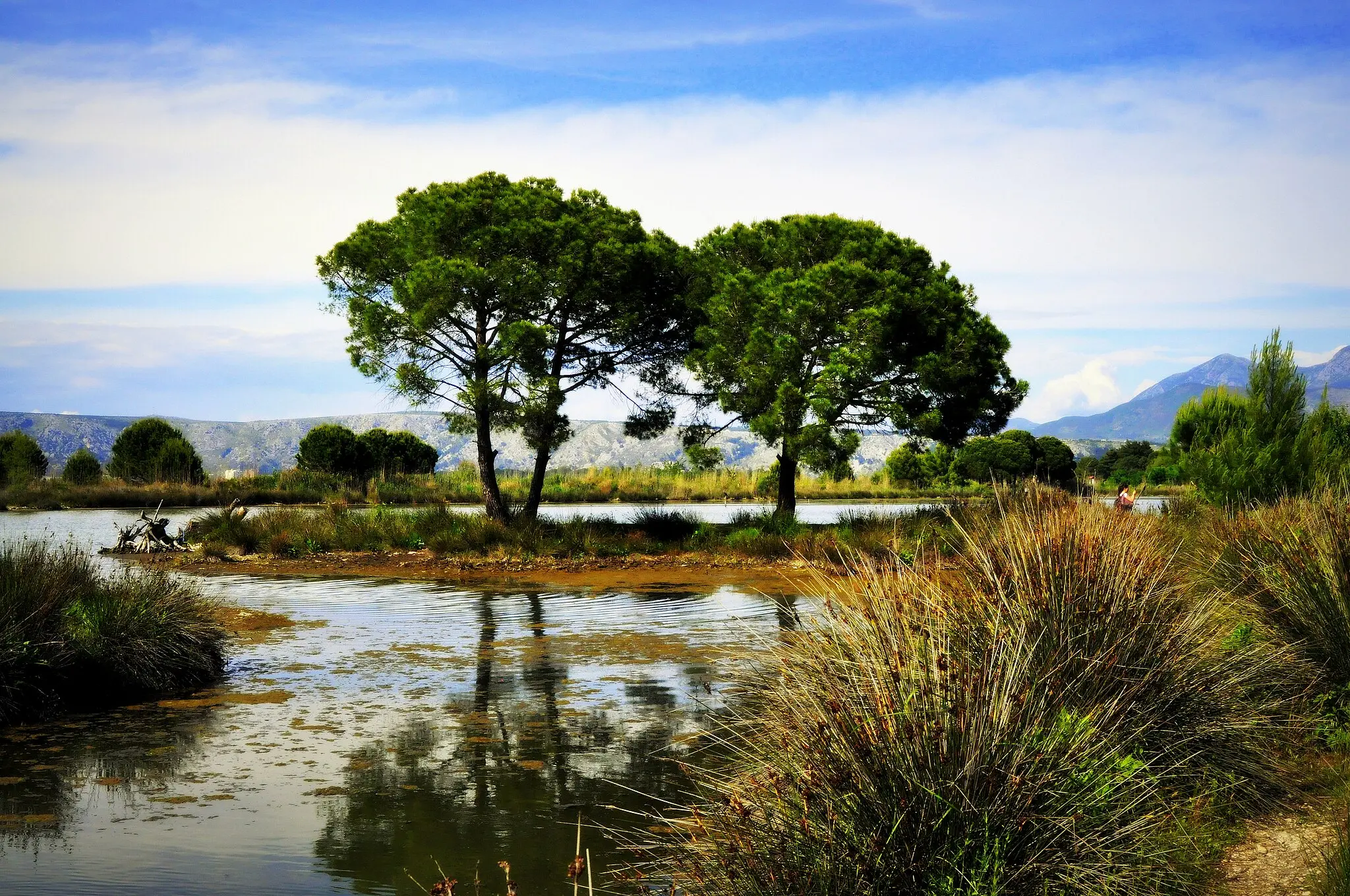 Shëngjin, Rezervat Kune Vain Tale, Kune Vain Tale, lagune Albanija, Tale, Tale Albanija, Albanija, rijeka Drim, Lezha, Lezha plaže, dvorac Lezha, Albanija lagune,  Shëngjin, Reserve Kune Vain Tale, Kune Vain Tale, Lagoons Albania, Tale, Tale Albania, Albania, River Drim, Lezha, Lezha Beaches, Lezha Castle, Albania Lagoons,
