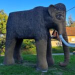 Mammoth Valley, Mammoth Valley Croatia, Mammoth Valley Mohovo, Mammothfest , Ilok, The Flintstones, Dolina mamuta, Dolina mamuta Hrvatska, Dolina mamuta Mohovo, Mamutfest , Ilok, Kremenko,