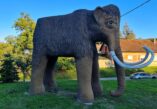 Mammoth Valley, Mammoth Valley Croatia, Mammoth Valley Mohovo, Mammothfest , Ilok, The Flintstones, Dolina mamuta, Dolina mamuta Hrvatska, Dolina mamuta Mohovo, Mamutfest , Ilok, Kremenko,