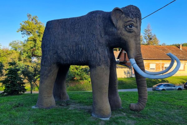 Mammoth Valley, Mammoth Valley Croatia, Mammoth Valley Mohovo, Mammothfest , Ilok, The Flintstones, Dolina mamuta, Dolina mamuta Hrvatska, Dolina mamuta Mohovo, Mamutfest , Ilok, Kremenko,
