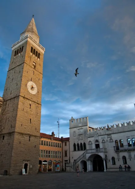Koper, Capris, Pretorska palača, Titov trg, Titov trg Koper, Koper atrakcije, Koper što vidjeti, Slovenija, Koper Slovenija, Pretorska palača vjenčanje, Pretorska palača wikipedija Koper, Capris, Praetorian Palace, Tito's Square, Tito's Square Koper, Koper attractions, Koper what to see, Slovenia, Koper Slovenia, Praetorian Palace wedding, Praetorian Palace wikipedia