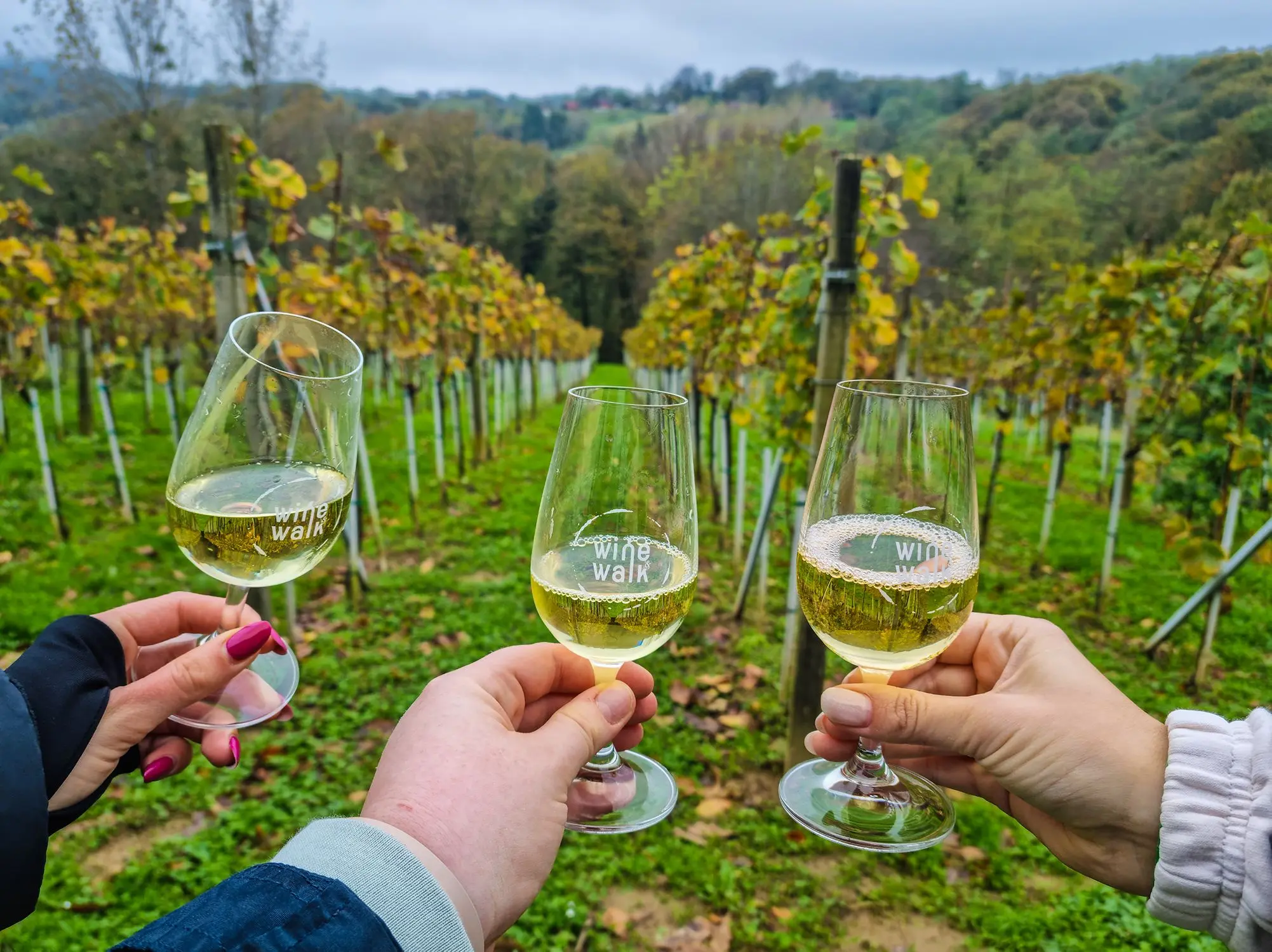 wine & walk Ludbreg, wine & walk, Ludbreg, Otok mladosti, centar svijeta, Vinarija Stručić, Vinska Kuća Kirić, Udruga vinogradara Trsek Ludbreg, Udruga vinogradara i vinara Grački grozdek,  DeMar vina, Mala kuća Graci,  wine & walk Ludbreg, wine & walk, Ludbreg, Island of Youth, center of the world, Winery Stručić, Wine House Kirić, Association of winegrowers Trsek Ludbreg, Association of winegrowers and winegrowers Grački grozdek, DeMar wines, Mala kuća Graci,