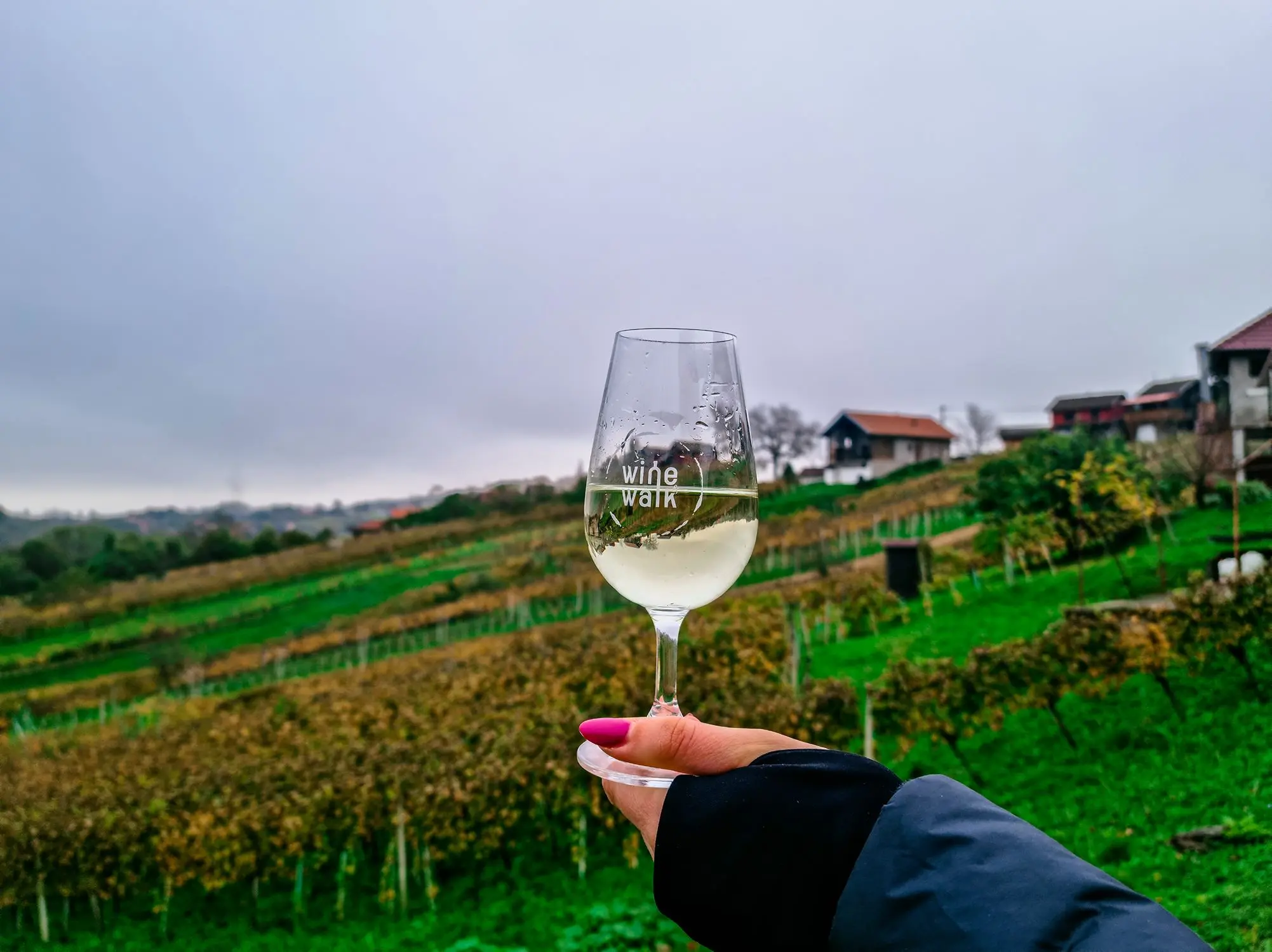 wine & walk Ludbreg, wine & walk, Ludbreg, Otok mladosti, centar svijeta, Vinarija Stručić, Vinska Kuća Kirić, Udruga vinogradara Trsek Ludbreg, Udruga vinogradara i vinara Grački grozdek,  DeMar vina, Mala kuća Graci,  wine & walk Ludbreg, wine & walk, Ludbreg, Island of Youth, center of the world, Winery Stručić, Wine House Kirić, Association of winegrowers Trsek Ludbreg, Association of winegrowers and winegrowers Grački grozdek, DeMar wines, Mala kuća Graci,