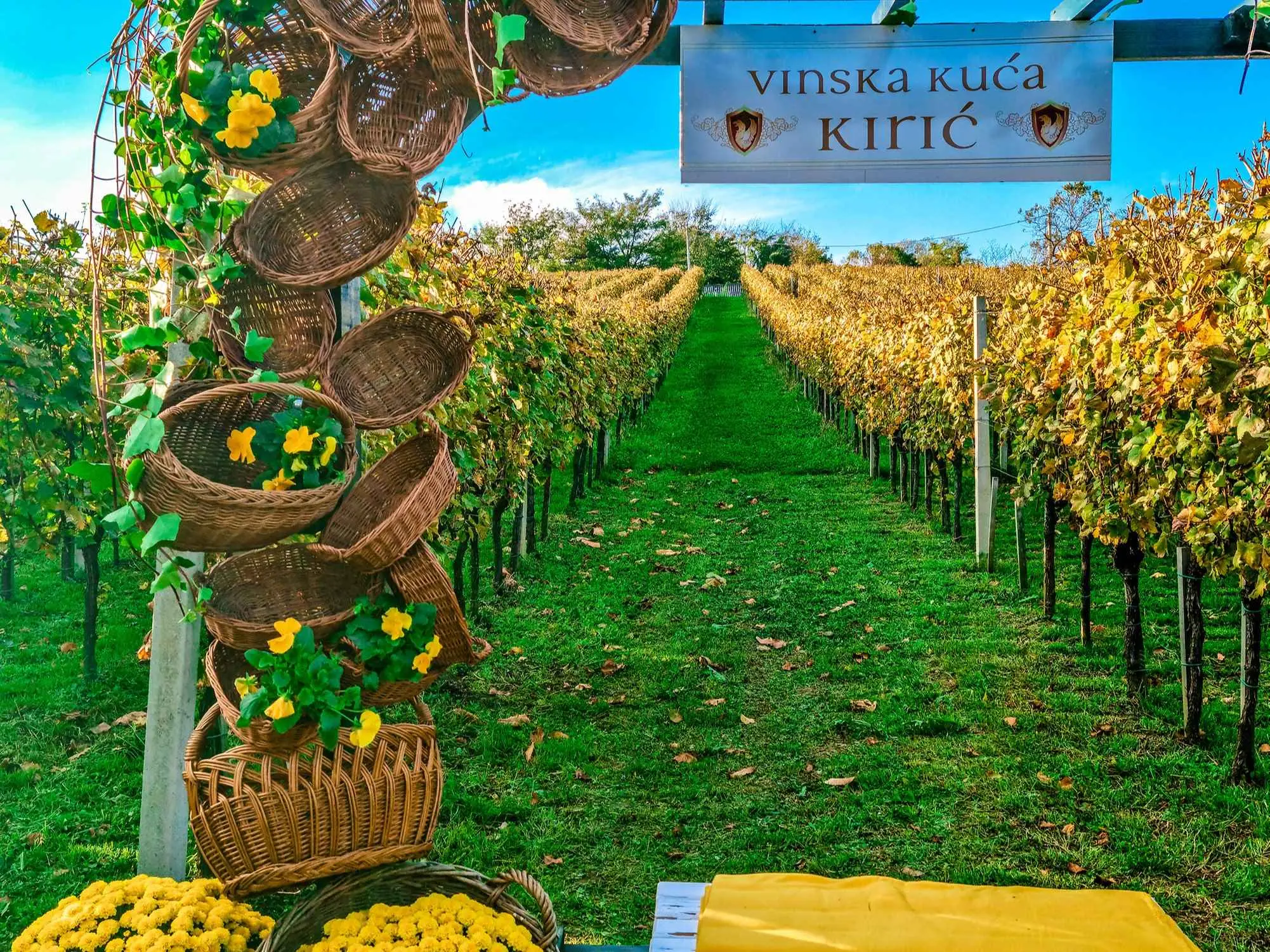 wine & walk Ludbreg, wine & walk, Ludbreg, Otok mladosti, centar svijeta, Vinarija Stručić, Vinska Kuća Kirić, Udruga vinogradara Trsek Ludbreg, Udruga vinogradara i vinara Grački grozdek,  DeMar vina, Mala kuća Graci,  wine & walk Ludbreg, wine & walk, Ludbreg, Island of Youth, center of the world, Winery Stručić, Wine House Kirić, Association of winegrowers Trsek Ludbreg, Association of winegrowers and winegrowers Grački grozdek, DeMar wines, Mala kuća Graci,