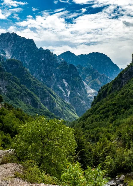 Albanske Alpe, Prokletije, dolina Theth, dolina Valbone, rijeka Valbona,  Albanian Alps, Prokletije, Theth Valley, Valbona Valley, Valbona River, flija,