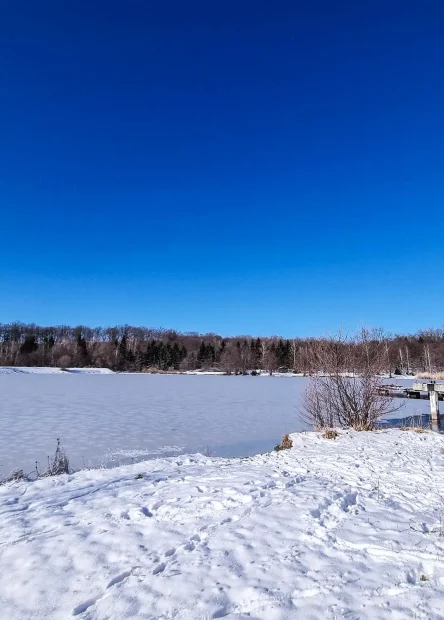 Park prirode Papuk, Novo Zvečevo, jezero Zvečevo, Jankovac, izletište Jankovac, Končar, jezero Končar, Zvečevo jezero, Zvečevo, Park prirode Papuk atrakcije, Park prirode Papuk što vidjeti, Odmaralište končar zvečevo, Papuk Nature Park, Novo Zvečevo, Zvečevo Lake, Jankovac, Jankovac picnic area, Končar, Končar Lake, Zvečevo Lake, Zvečevo, Papuk Nature Park attractions, Papuk Nature Park what to see, Končar Zvečevo Resort,