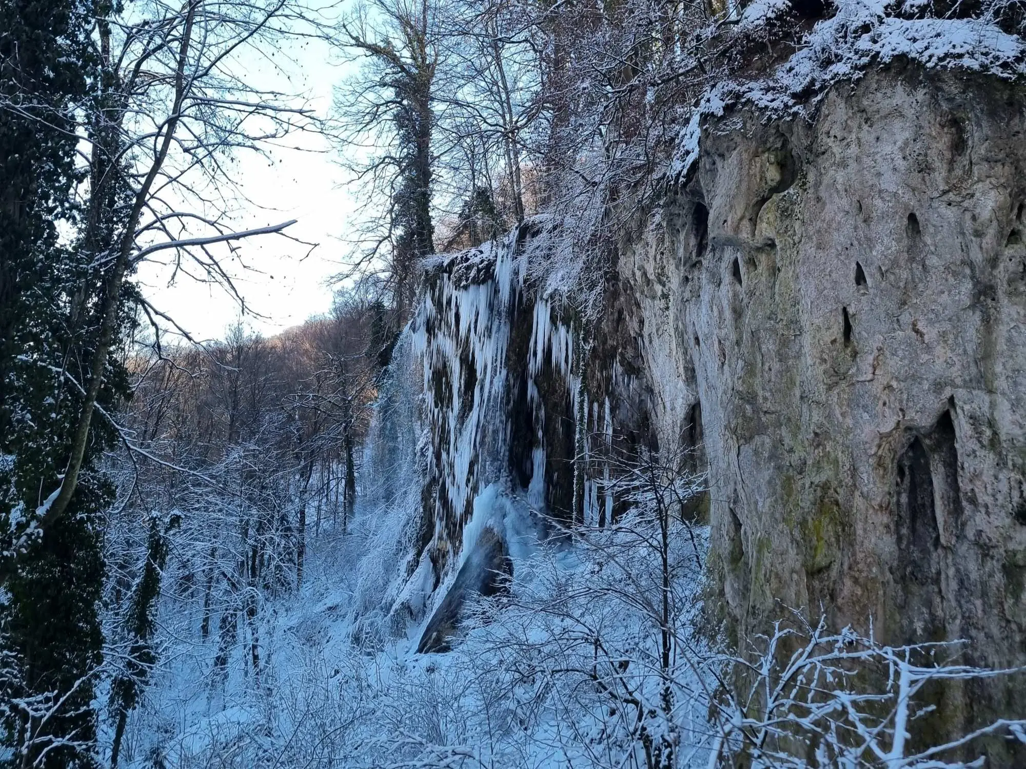 Planinarski dom Jankovac, Jankovac, izletište Jankovac, izletište Jankovac proljeće, izletište Jankovac zima, izletište Jankovac ljeto, izletište Jankovac jesen, izletište Jankovac papuk, izletište Jankovac kako doći, Park prirode Papuk, izletište Jankovac slap, papuk slap, slap Skakavac, dmorište jankovac, Jankovac smještaj, papuk karta, planinarski doma jankovac jelovnik, papuk staze, park šuma jankovac, Mountain lodge Jankovac, Jankovac, excursion site Jankovac, excursion site Jankovac spring, excursion site Jankovac winter, excursion site Jankovac summer, excursion site Jankovac autumn, excursion site Jankovac papuk, excursion site Jankovac how to get there, Papuk Nature Park, excursion site Jankovac waterfall, papuk waterfall, Skakavac waterfall, Jankovac resort , Jankovac accommodation, papuk map, hiking lodge jankovac menu, papuk trails, jankovac forest park,