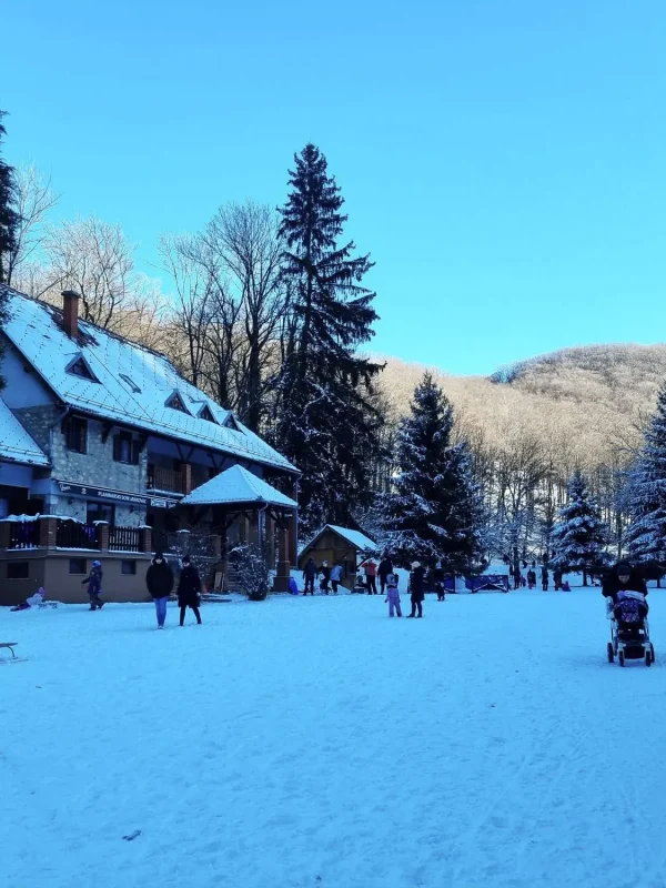 Planinarski dom Jankovac, Jankovac, izletište Jankovac, izletište Jankovac proljeće, izletište Jankovac zima, izletište Jankovac ljeto, izletište Jankovac jesen, izletište Jankovac papuk, izletište Jankovac kako doći, Park prirode Papuk, izletište Jankovac slap, papuk slap, slap Skakavac, dmorište jankovac, Jankovac smještaj, papuk karta, planinarski doma jankovac jelovnik, papuk staze, park šuma jankovac, Mountain lodge Jankovac, Jankovac, excursion site Jankovac, excursion site Jankovac spring, excursion site Jankovac winter, excursion site Jankovac summer, excursion site Jankovac autumn, excursion site Jankovac papuk, excursion site Jankovac how to get there, Papuk Nature Park, excursion site Jankovac waterfall, papuk waterfall, Skakavac waterfall, Jankovac resort , Jankovac accommodation, papuk map, hiking lodge jankovac menu, papuk trails, jankovac forest park,