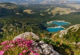 Crne Gore,Durmitor, jezera Durmitora,Žabljak, Crno jezero, Međeda, Zminje jezero, Barno jezero,  Vražje jezero, Đavolje jezero, Riblje jezero, Modro jezero, Sedlena greda, Pošćenska jezera, Zabojsko jezero, Ševarita lokva, Valovito jezero, Veliko Škrčko jezero, Malo Škrčko jezero, Zminičko jezero, Sušičko jezero, Ševarita lokva, Suva lokva,Srablje jezero,Jablan jezero, dumitorska jezera, durmitor jezera, Montenegro, Durmitor, lakes Durmitora, Žabljak, Black Lake, Međeda, Zminje Lake, Barno Lake, Vražje Lake, Đavolje Lake, Riblje Lake, Blue Lake, Sedlena Greda, Pošćenska Lakes, Zaboj Lake, Ševarita Klova, Volovito Lake, Veliko Škrčko lake, Malo Škrčko lake, Zminičko lake, Sušičko lake, Ševarita klva, Suva klva, Srablje lake, Jablan lake, dumitor lakes, durmitor lakes,