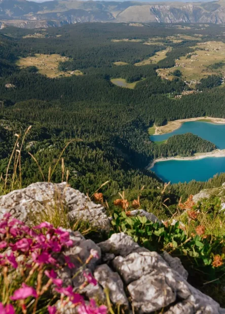 Crne Gore,Durmitor, jezera Durmitora,Žabljak, Crno jezero, Međeda, Zminje jezero, Barno jezero,  Vražje jezero, Đavolje jezero, Riblje jezero, Modro jezero, Sedlena greda, Pošćenska jezera, Zabojsko jezero, Ševarita lokva, Valovito jezero, Veliko Škrčko jezero, Malo Škrčko jezero, Zminičko jezero, Sušičko jezero, Ševarita lokva, Suva lokva,Srablje jezero,Jablan jezero, dumitorska jezera, durmitor jezera, Montenegro, Durmitor, lakes Durmitora, Žabljak, Black Lake, Međeda, Zminje Lake, Barno Lake, Vražje Lake, Đavolje Lake, Riblje Lake, Blue Lake, Sedlena Greda, Pošćenska Lakes, Zaboj Lake, Ševarita Klova, Volovito Lake, Veliko Škrčko lake, Malo Škrčko lake, Zminičko lake, Sušičko lake, Ševarita klva, Suva klva, Srablje lake, Jablan lake, dumitor lakes, durmitor lakes,