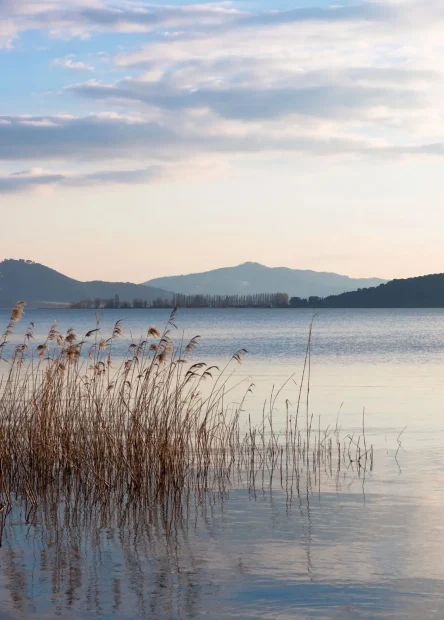 Castiglione del Lago, tvrđava Rocca del Leone, Passignano sul Trasimeno, La Rocca, tvrđava La Rocca, Panicale, Italija,  Umbrija, jezero Trasimeno, Trasimeno, najveće jezero u italiji, Bitka kod Trasimenskog jezera, Tuoro sul Trasimeno, otok Maggiore, otok Polvese, otok Minore,  Castiglione del Lago, Rocca del Leone fortress, Passignano sul Trasimeno, La Rocca, La Rocca fortress, Panicale, Italy,  Umbria, Lake Trasimeno, Trasimeno, the largest lake in Italy, Battle of Lake Trasimeno, Tuoro sul Trasimeno, Isola Maggiore, Isola Polvese , Isola Minore,
