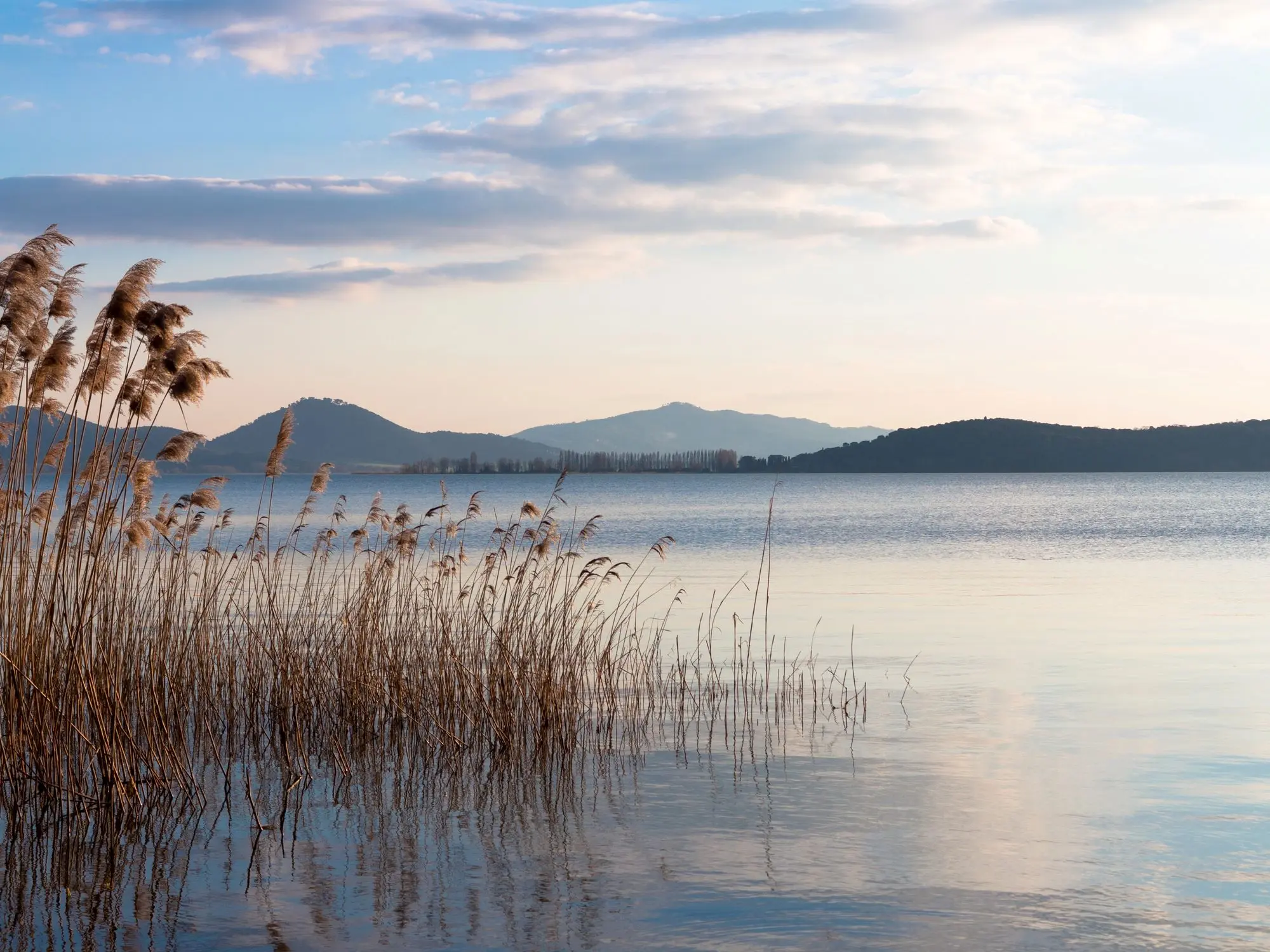 Castiglione del Lago, tvrđava Rocca del Leone, Passignano sul Trasimeno, La Rocca, tvrđava La Rocca, Panicale, Italija,  Umbrija, jezero Trasimeno, Trasimeno, najveće jezero u italiji, Bitka kod Trasimenskog jezera, Tuoro sul Trasimeno, otok Maggiore, otok Polvese, otok Minore,  Castiglione del Lago, Rocca del Leone fortress, Passignano sul Trasimeno, La Rocca, La Rocca fortress, Panicale, Italy,  Umbria, Lake Trasimeno, Trasimeno, the largest lake in Italy, Battle of Lake Trasimeno, Tuoro sul Trasimeno, Isola Maggiore, Isola Polvese , Isola Minore,