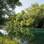 rijeka Zeta, Zeta, Nikšićko polje, Bjelopavlićka ravnica, Carev most, Rijeka zeta wikipedia, gornja zeta, vodotok rijeke zete, rijeke u crnoj gori, crna gora rijeke, Zeta river, Zeta, Nikšićko polje, Bjelopavlićka ravnica, Tsarev bridge, Zeta river wikipedia, upper Zeta, watercourse of the Zeta river, rivers in Montenegro, Montenegro rivers,