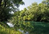 rijeka Zeta, Zeta, Nikšićko polje, Bjelopavlićka ravnica, Carev most, Rijeka zeta wikipedia, gornja zeta, vodotok rijeke zete, rijeke u crnoj gori, crna gora rijeke, Zeta river, Zeta, Nikšićko polje, Bjelopavlićka ravnica, Tsarev bridge, Zeta river wikipedia, upper Zeta, watercourse of the Zeta river, rivers in Montenegro, Montenegro rivers,