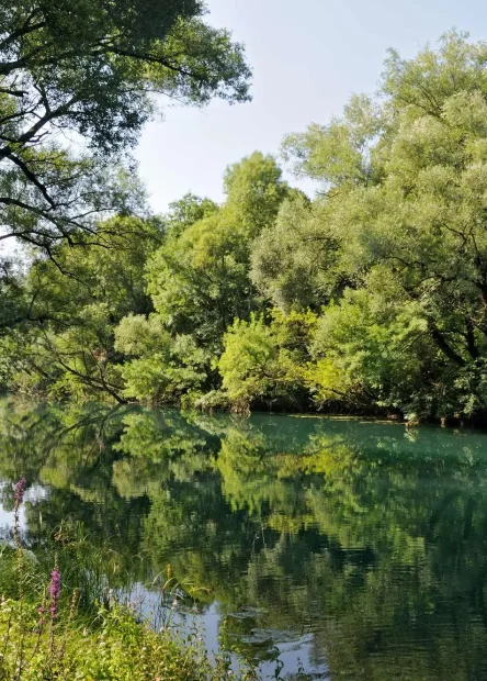 rijeka Zeta, Zeta, Nikšićko polje, Bjelopavlićka ravnica, Carev most, Rijeka zeta wikipedia, gornja zeta, vodotok rijeke zete, rijeke u crnoj gori, crna gora rijeke, Zeta river, Zeta, Nikšićko polje, Bjelopavlićka ravnica, Tsarev bridge, Zeta river wikipedia, upper Zeta, watercourse of the Zeta river, rivers in Montenegro, Montenegro rivers,
