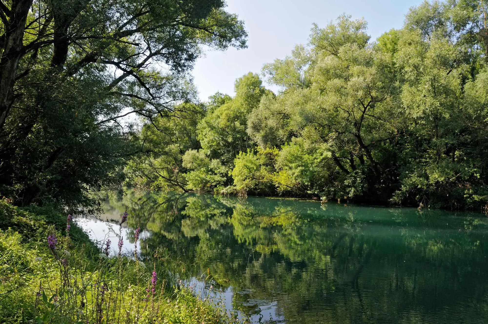 rijeka Zeta, Zeta, Nikšićko polje, Bjelopavlićka ravnica, Carev most, Rijeka zeta wikipedia, gornja zeta, vodotok rijeke zete, rijeke u crnoj gori, crna gora rijeke, Zeta river, Zeta, Nikšićko polje, Bjelopavlićka ravnica, Tsarev bridge, Zeta river wikipedia, upper Zeta, watercourse of the Zeta river, rivers in Montenegro, Montenegro rivers,