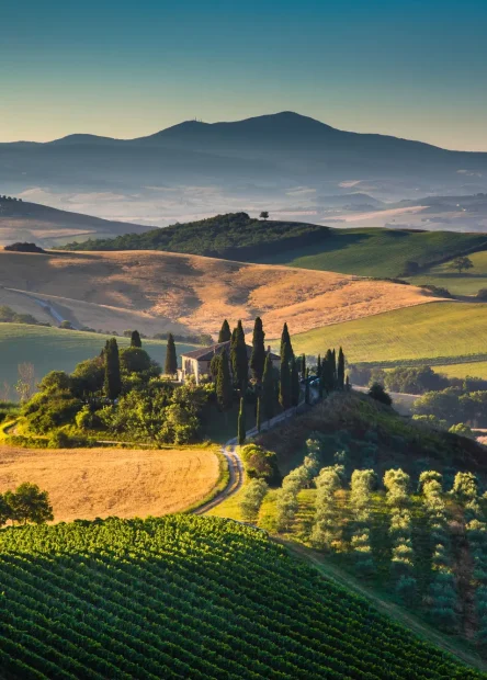 San Quirico d'Orcia, San Quirico, Val d’Orcia, Siena, Via Francigeni, San Quirico atrakcije, San Quirico to atrakcije, Toskana, Horti Leonini, Collegiata di San Quirico, Kapela Vitaleta, Piazza della Libertà,  sela u toskani, Toskana atrakcije, Toskana čempresi, Wikipedia San Quirico d orcia, aktivnosti u San Quiricu, Comune di san quirico, restorani u San Quiricu, hoteli u San Quiricu,a San Quirico što raditi, San Quirico što vidjeti, San Quirico d'Orcia, San Quirico, Val d'Orcia, Siena, Via Francigeni, San Quirico attractions, San Quirico to attractions, Tuscany, Horti Leonini, Collegiata di San Quirico, Vitaleta Chapel, Piazza della Libertà, villages in Tuscany, Tuscany attractions, Tuscany cypresses, Wikipedia San Quirico d'orcia, activities in San Quirico, Comune di san quirico, restaurants in San Quirico, hotels in San Quirico, and San Quirico what to do, San Quirico what to see, San quirico things to do,