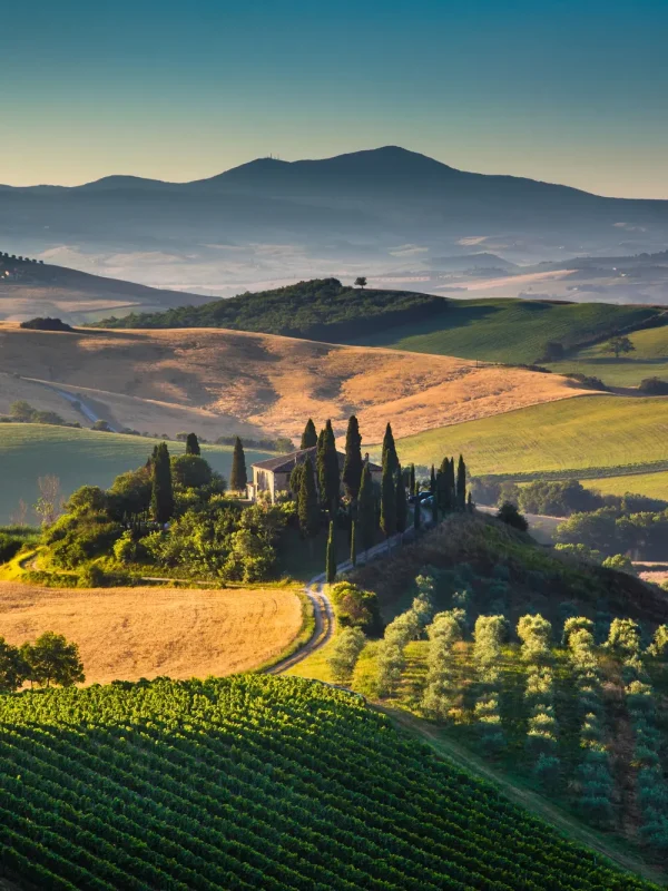 San Quirico d'Orcia, San Quirico, Val d’Orcia, Siena, Via Francigeni, San Quirico atrakcije, San Quirico to atrakcije, Toskana, Horti Leonini, Collegiata di San Quirico, Kapela Vitaleta, Piazza della Libertà,  sela u toskani, Toskana atrakcije, Toskana čempresi, Wikipedia San Quirico d orcia, aktivnosti u San Quiricu, Comune di san quirico, restorani u San Quiricu, hoteli u San Quiricu,a San Quirico što raditi, San Quirico što vidjeti, San Quirico d'Orcia, San Quirico, Val d'Orcia, Siena, Via Francigeni, San Quirico attractions, San Quirico to attractions, Tuscany, Horti Leonini, Collegiata di San Quirico, Vitaleta Chapel, Piazza della Libertà, villages in Tuscany, Tuscany attractions, Tuscany cypresses, Wikipedia San Quirico d'orcia, activities in San Quirico, Comune di san quirico, restaurants in San Quirico, hotels in San Quirico, and San Quirico what to do, San Quirico what to see, San quirico things to do,