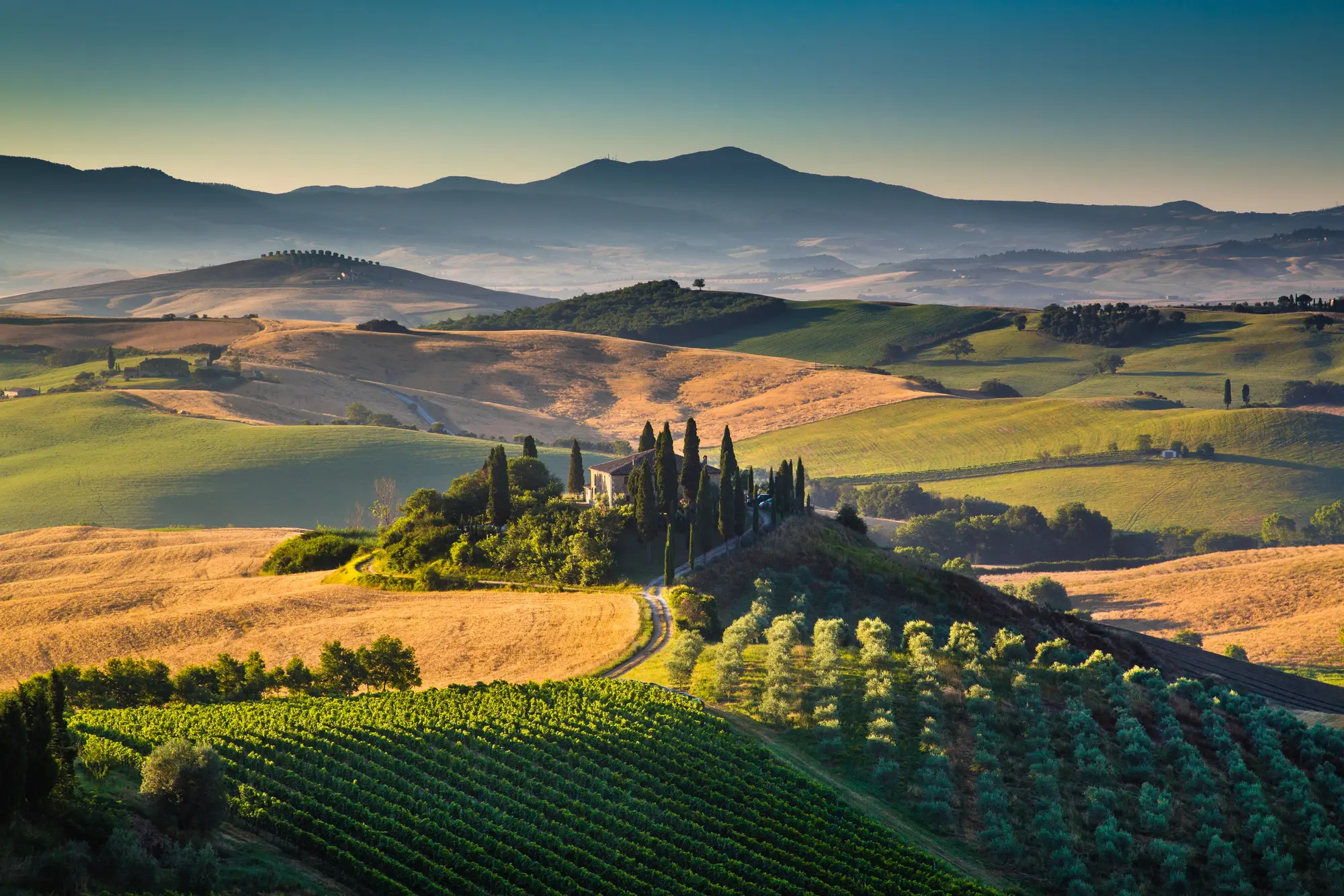 San Quirico d'Orcia, San Quirico, Val d’Orcia, Siena, Via Francigeni, San Quirico atrakcije, San Quirico to atrakcije, Toskana, Horti Leonini, Collegiata di San Quirico, Kapela Vitaleta, Piazza della Libertà,  sela u toskani, Toskana atrakcije, Toskana čempresi, Wikipedia San Quirico d orcia, aktivnosti u San Quiricu, Comune di san quirico, restorani u San Quiricu, hoteli u San Quiricu,a San Quirico što raditi, San Quirico što vidjeti, San Quirico d'Orcia, San Quirico, Val d'Orcia, Siena, Via Francigeni, San Quirico attractions, San Quirico to attractions, Tuscany, Horti Leonini, Collegiata di San Quirico, Vitaleta Chapel, Piazza della Libertà, villages in Tuscany, Tuscany attractions, Tuscany cypresses, Wikipedia San Quirico d'orcia, activities in San Quirico, Comune di san quirico, restaurants in San Quirico, hotels in San Quirico, and San Quirico what to do, San Quirico what to see, San quirico things to do,