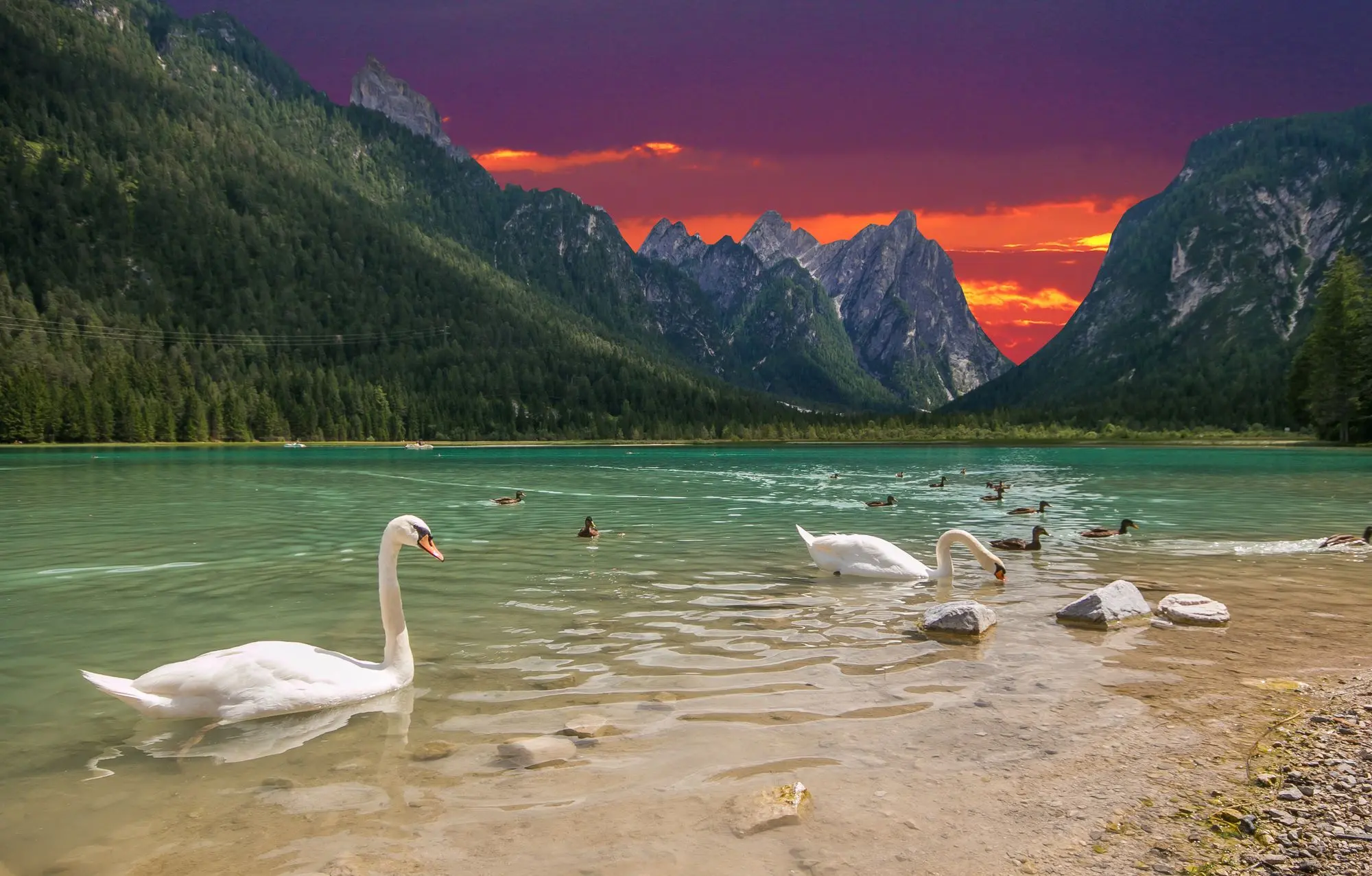jezero Dobbiaco,Južni Tirol, Dolomiti, Fanes-Sennes-Braies, Tre Cime, Rienza, rijeka Rienza, Alpski zid, Kamp Toblacher See, jezera u Dolomitima, Jezero dobbiaco wikipedia, Dolmiti Italija, jezero dobbiaco hotel, jezero dobbiaco mapa, jezero dobbiaco robolov, jezero dobbiaco što raditi, jezero dobbiaco planinarenjeLake Dobbiaco, South Tyrol, Dolomites, Fanes-Sennes-Braies, Tre Cime, Rienza, Rienza River, Alpine Wall, Camp Toblacher See, Lakes in the Dolomites, Lake dobbiaco wikipedia, Dolmiti Italy, Lake Dobbiaco hotel, Lake Dobbiaco map, Lake Dobbiaco hunting, Lake Dobbiaco what to do, Lake Dobbiaco hiking