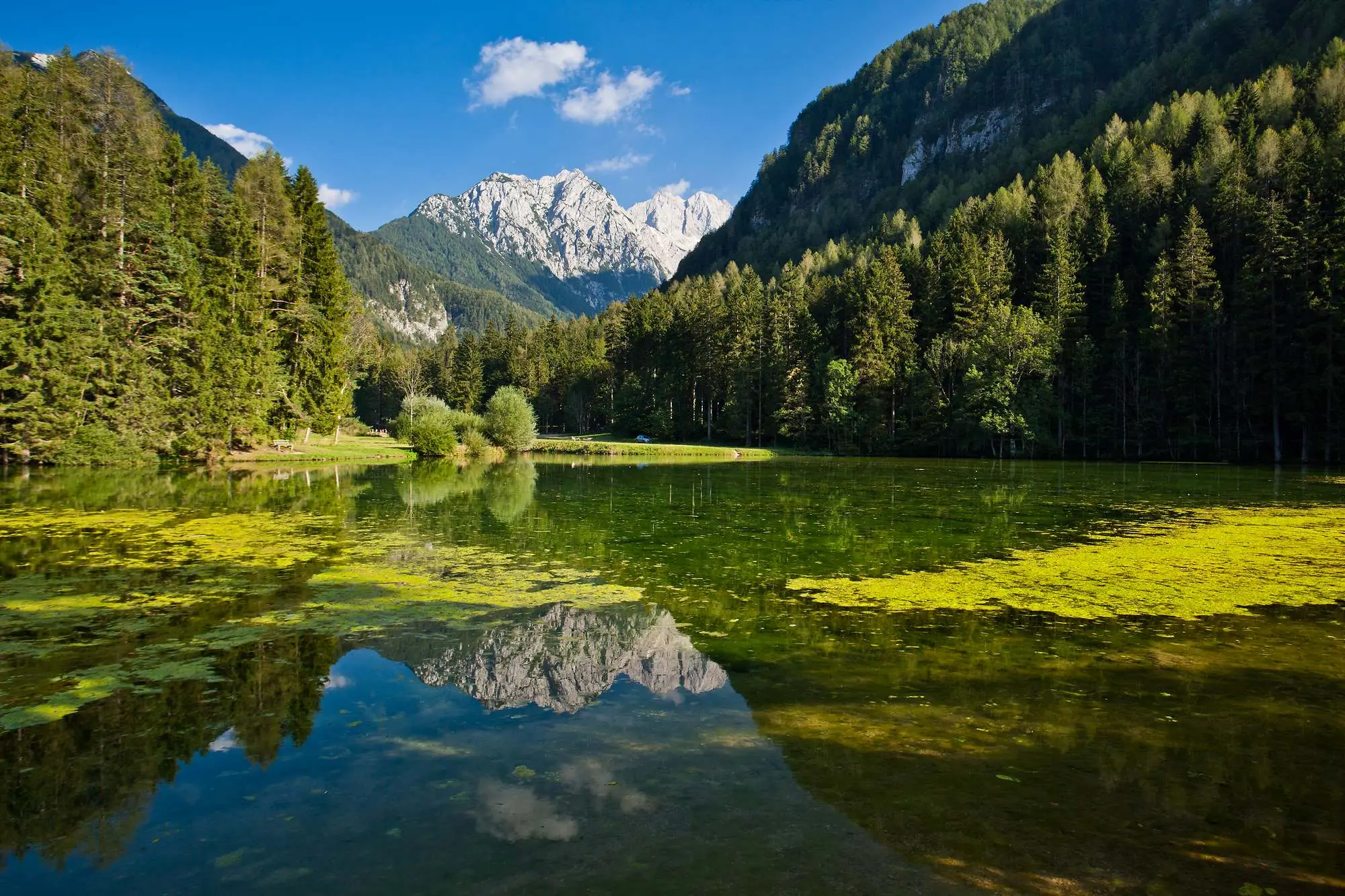 Slovenija, Slovenija jezera, Cerkniško jezero, Divje jezero, Planšarsko jezero, Planšarsko jezero Zgornje Jezersko, Planšarsko jezero jezersko, Planšarsko jezero kako doći, Planšarsko jezero wikipedia, Kamniško-Savinjske Alpe, Gostišče ob jezeru, Gostišče ob Planšarskem Jezeru, Planšarsko jezero restoran, Planšarsko jezero cafe, Planšarsko jezero plivanje, izleti slovenija, izleti nedaleko od zagreba, Slovenia, Slovenia lakes, Cerkniško lake, Divje lake, Plansar lake, Plansarsko lake Zgornje Jezersko, Planšar lake jezersko, Plansar lake how to get there, Planšar lake wikipedia, Kamnik-Savinj Alps, Gostišče ob jezeru, Gostišče ob Planšar lake, Planšar lake restaurant, Planšar lake cafe, Planšar lake swimming, excursions Slovenia, excursions not far from Zagreb,Planšarsko lake, Plansarsko lake,