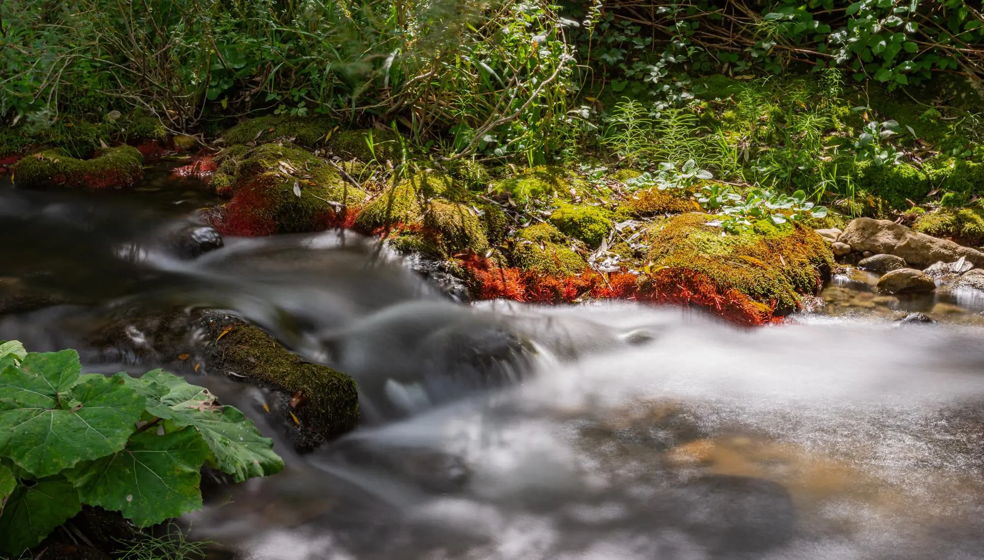 vodopadi Verde, Cascate del Verde, Abruzzo, prirodni regionalni rezervat Verde, vodopad Verde, najviši prirodni vodopad u Apeninima, najviši prirodni vodopad Italija, najviši vodopad u Italiji, italija vodopadi, najljepši vodopadi u italiji, Borrello, rijeka Sangro, dolina rijeke Sangro, WWF oaza, WWF, prirodni rezervat italija, Verde waterfalls, Cascate del Verde, Abruzzo, Verde regional nature reserve, Verde waterfall, highest natural waterfall in the Apennines, highest natural waterfall Italy, highest waterfall in Italy, Italy waterfalls, most beautiful waterfalls in Italy, Borrello, Sangro river, Sangro river valley, WWF oasis, WWF, nature reserve Italy,