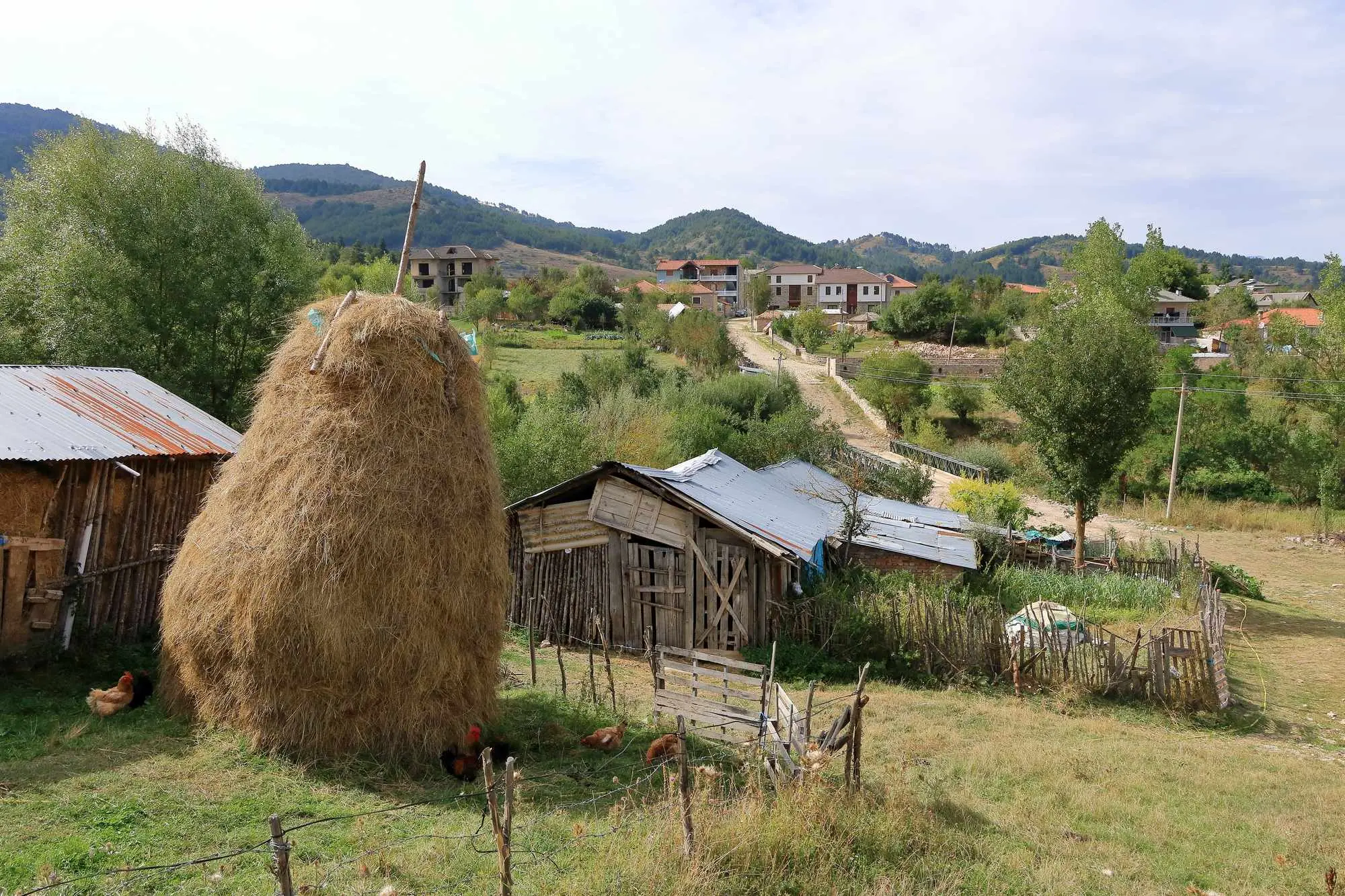 Voskopoja, Moskopolje, Albanija, Dardha, David Selenica, braća Zografi, Korča, Korce, crkva svetog Nikole, crkva svetog Atanazija, manastir svetog Prodhroma, lakror, Voskopoja albania, zanimljive destinacije albanija, mjesta za istraživanje u albaniji, albanska sela, zanimljiva mjesta u albaniji, sela u albaniji, što vidjeti u albaniji, Voskopoja, Moskopolje, Albania, Dardha, David Selenica, Zografi brothers, Korča, Korce, church of St. Nicholas, church of St. Athanasius, monastery of St. Prodhrom, lakror, Voskopoja albania, interesting destinations albania, places to explore in albania, albanian villages, interesting places in albania, villages in albania, what to see in albania